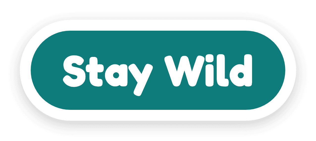 Stay Wild
